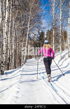 Eine Frau Langlaufen auf den Loipen in der Nähe von Sun Mountain Lodge in der Methow Valley, Washington State, USA. Stockfoto