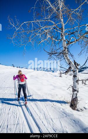Eine Frau Langlaufen auf den Loipen in der Nähe von Sun Mountain Lodge in der Methow Valley, Washington State, USA. Stockfoto