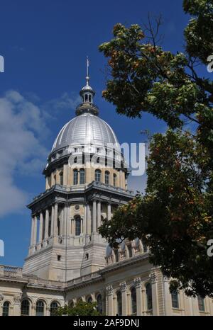 Zwischen 1868-1888 gebaut, der Illinois State Capitol in Springfield ist home Regierung, Staat und ist der sechste Gebäude wie das Capitol zu dienen. Stockfoto