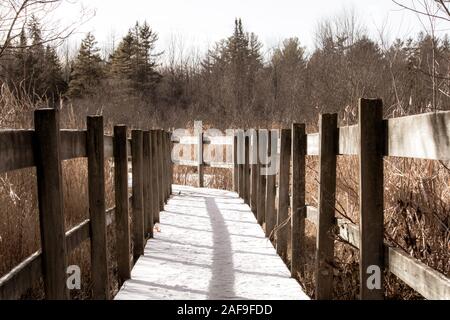 Ein Holzsteg über einen Sumpf Bereich auf einem Naturlehrpfad hat Schneefall gesehen und ist s in gesehen im Schatten am Nachmittag. Stockfoto