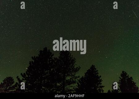Sternenhimmel, Milchstraße, Tress im Bryce Canyon National Park, Utah Stockfoto