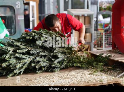 Cromwell, CT USA. Dez 2019. Home Improvement Personal trimmen Weihnachtsbaum vor Netting. Stockfoto