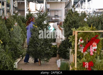 Cromwell, CT USA. Dez 2019. Weihnachtsbäume in Home Improvement Store mit Mutter und Tochter Team auf der Suche nach der größte gekauft. Stockfoto