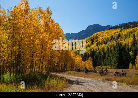 Aspens und Zaun im Herbst, County Road 7, Sneffels Range, San Juan Mountains, Colorado Stockfoto