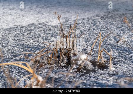 Close-up von Eiskristallen auf einem zugefrorenen See Eis in Deutschland im Winter. Stockfoto