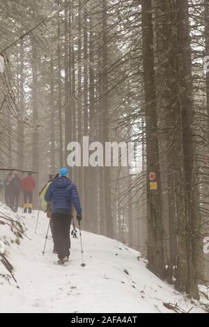 Nach route, Wandern. Alpen Abenteuer Reisen Richtung Konzept. Wanderweg im Winter auf die Berge. Stockfoto