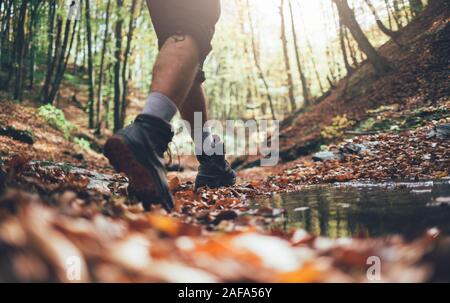 Nahaufnahme von Wanderer Beine mit Trekking im Herbst Wald Stockfoto