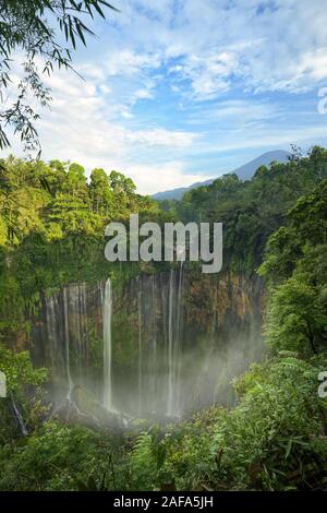 Ansicht von oben, beeindruckende Luftaufnahme des Tumpak Sewu Wasserfälle auch als Amir Chupan Sewu mit Wolken aus dem Canyon bekannt. Semeru Vulkans in Th Stockfoto