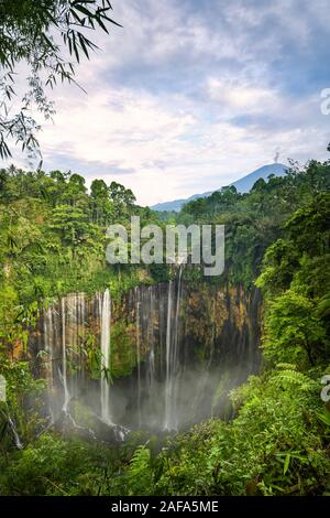 Ansicht von oben, beeindruckende Luftaufnahme des Tumpak Sewu Wasserfälle auch als Amir Chupan Sewu mit Wolken aus dem Canyon bekannt. Semeru Vulkans in Th Stockfoto