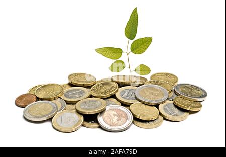 Schössling wächst von Münzen Stockfoto