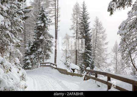 Wicklung land Straße in den Bergen bei Schneefall (in der Nähe von Sterzing) Südtirol, Dolomiten, Norditalien. Stockfoto