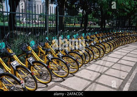 Linie der gelben teilt Leihfahrräder im Park in Sao Paulo, großen urbanen Zentrum in Brasilien Stockfoto