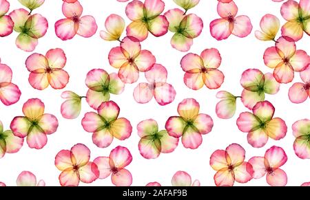 Aquarell nahtlose floralen Muster. Transparente Feld Blumen. Isolierte handgezeichnete Abbildung mit bunten wilden Pflanzen für Tapeten Design Stockfoto