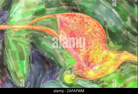Aquarell Bild: Nahaufnahme einer gelb und rot gefärbte Blüte einer Orchidee, wissenschaftlicher Name Orchidaceae Stockfoto
