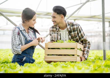 Asiatische junge Paar Landwirt im Gewächshaus hydroponic Holding Korb mit Gemüse. Sie werden ernten Gemüse grüner Salat. Stockfoto