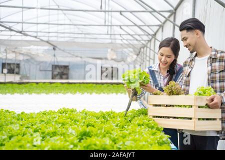 Asiatische junge Paar Landwirt im Gewächshaus hydroponic Holding Korb mit Gemüse. Sie werden ernten Gemüse grüner Salat Stockfoto
