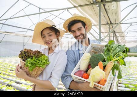 Paar Landwirt im Gewächshaus hydroponic Holding Korb mit Gemüse. Sie werden ernten Gemüse grüner Salat. Stockfoto