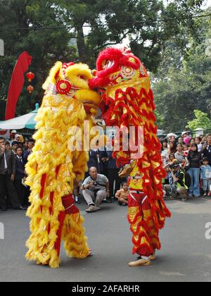 Löwen-Tanzpuppenshow auf dem chinesischen Neujahrs-Festival. Stockfoto