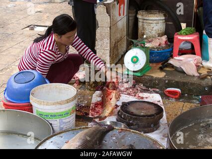 Hanoi, Vientam - Januar 04, 2017: Frau schneiden ein Fisch am Markt in Hanoi, Vietnam Stockfoto