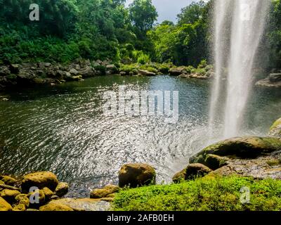 Atemberaubende Aussicht auf die Wasserfälle Misol Ha in den üppigen Regenwald von Chiapas, Mexiko Stockfoto