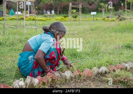 AMRAVATI, MAHARASHTRA, Indien, Juli 5, 2017: Nicht identifizierte Frau Arbeiter der Arbeit auf dem Feld, im Garten arbeitende Szene im Park, Arbeiterin schneiden unerwünschte g Stockfoto