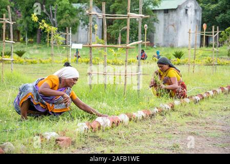 AMRAVATI, MAHARASHTRA, Indien, Juli 5, 2017: Nicht identifizierte Frau Arbeiter der Arbeit auf dem Feld, im Garten arbeitende Szene im Park, Arbeiterin schneiden unerwünschte g Stockfoto