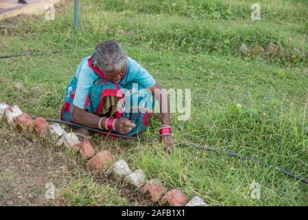 AMRAVATI, MAHARASHTRA, Indien, Juli 5, 2017: Nicht identifizierte Frau Arbeiter der Arbeit auf dem Feld, im Garten arbeitende Szene im Park, Arbeiterin schneiden unerwünschte g Stockfoto