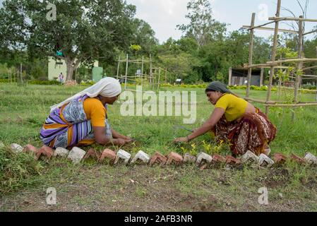 AMRAVATI, MAHARASHTRA, Indien, Juli 5, 2017: Nicht identifizierte Frau Arbeiter der Arbeit auf dem Feld, im Garten arbeitende Szene im Park, Arbeiterin schneiden unerwünschte g Stockfoto