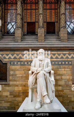 Sir Charles Darwin, Skulptur, Natural History Museum, London, England, Großbritannien Stockfoto