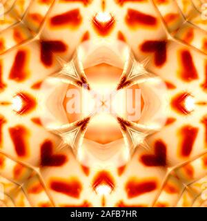 Symmetrische replected abstraktes Muster aus einem original Foto von einem Areola Babel seashell erstellt (Babylonia areolata) Stockfoto