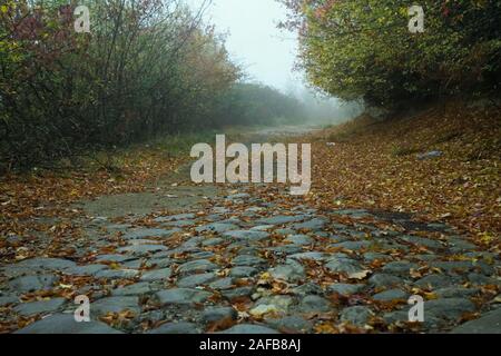 Straße im Herbst. Mistic nebeliger Morgen. Farbige Blätter im Boden. Stein Straße. Stockfoto