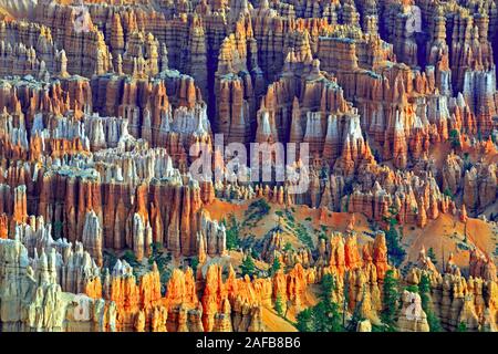 Felsformationen und Hoodoos, Bryce Canyon bei Sonnenaufgang, Bryce Point, Utah, Suedwesten, USA Stockfoto