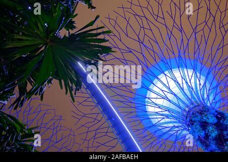 Ansicht von unten am blauen Supertree mit Palmenblättern während des Nacht Musical Lights Show in den Gärten an der Bucht In Singapur Stockfoto