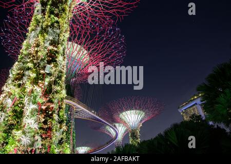 Panorama Supertrees während der Nacht musikalische Lichter zeigen in den Gärten beim Bay in Singapur Stockfoto