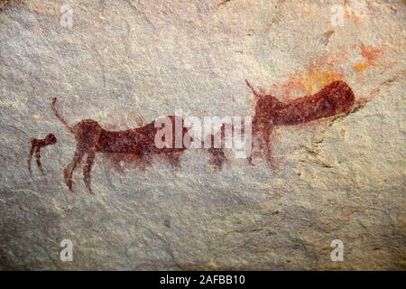 Alte Felszeichnungen der San, Ureinwohner Suedafrikas, Sevilla Rock Art Trail, nahe Cederberge Clanwilliam und Wuppertal West, Western Cape, Kap, geklagt, Stockfoto