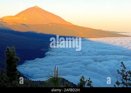 Sonnenaufgang am Pico del Teide über Passatwolken, Nationalpark Teide, Aussichtspunkt Chipeque, Teneriffa, Kanarische Inseln, Spanien Stockfoto