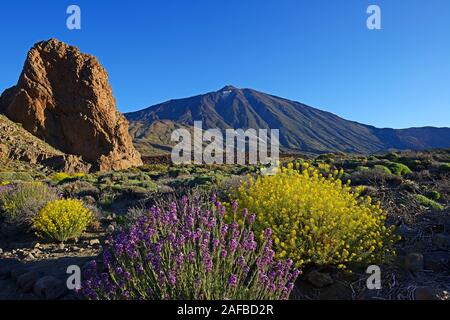 Roques de Garcia, Pico del Teide, Las Canadas, bei Sonnenaufgang, Teide-Nationalpark, UNESCO Weltnaturerbe, Teneriffa, Spanien Stockfoto