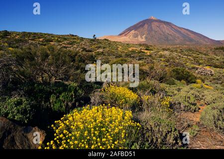 Vulkan Pico del Teide, Teide-Nationalpark, Parque Nacional de las Cañadas del Teide, Teneriffa, Kanarische Inseln, Spanien Stockfoto