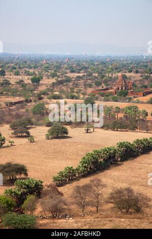 Anzeigen von Bagan Tempel von Nan Myint Tower, Alt Bagan, Mandalay, Myanmar, Asien Stockfoto