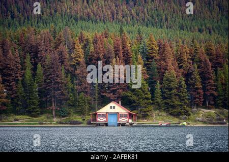 Das Bootshaus mit Kanu auf Pier im Herbst Kiefernwald auf dem Hügel in Maligne Lake, Jasper National Park Stockfoto