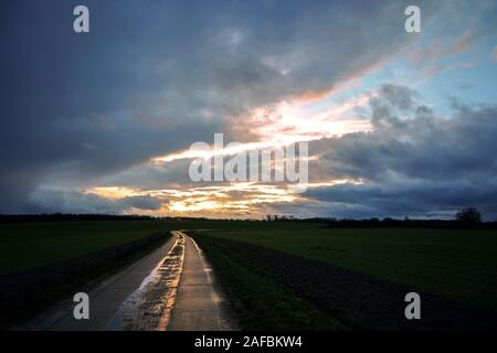 Nasse reflektierende Country Road Zementplatten führt durch die dunklen Felder unter einem dramatischen Wolkenhimmel mit Abendsonne, ländliche Landschaft ne Stockfoto