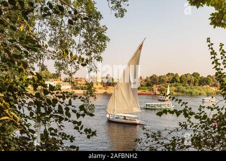 Afrika, Ägypten, Assuan. September 20, 2018. Eine Felucca, einem traditionellen hölzernen Segelboot auf dem Nil. Stockfoto