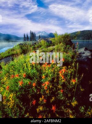 Funken Lake, South Schwester Berg und Wildblumen Stockfoto