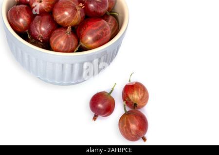 Stachelbeeren in eine Taube - blau Keramik Schüssel und drei Beeren neben der Schüssel Stockfoto