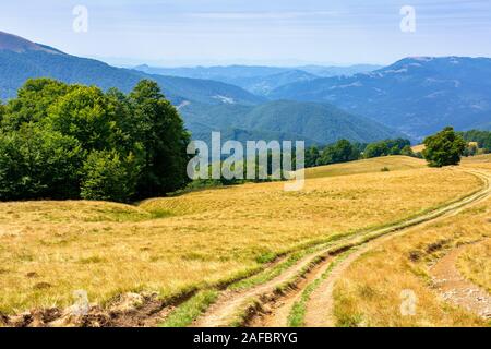 Bergige Landschaft im Sommer. Land Straße den Hügel hinunter durch das Gras Wiese. Bäume entlang dem Weg. sonniges Wetter mit wolkenlosem Himmel. e Stockfoto