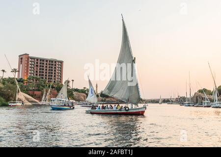 Afrika, Ägypten, Assuan. Oktober 8, 2018. Feluccas, traditionellen hölzernen Segelschiffe, auf den Nil bei Assuan. Stockfoto