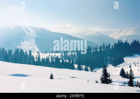 Bergige Landschaft im Winter. Atemberaubende Landschaft auf einem hellen, sonnigen Tag. Wald auf Schnee rollenden Hügeln Fichte. schöne Landschaft Stockfoto