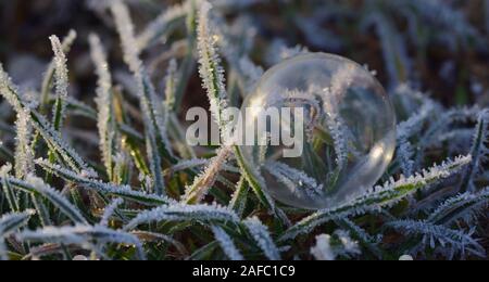 Eine transparente zerbrechliche Seifenblase liegt auf gefrorenes Gras im Winter Stockfoto