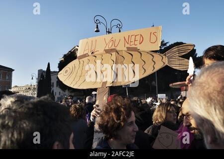 Dezember 14, 2019: Zehntausende Demonstranten von der''˜ Sardine Bewegung' auf der Piazza San Giovanni in Rom. Die Gruppe wurde gebildet, um die rechtsextremen Liga Partei von Matteo Salvini zu widersetzen. Credit: Matteo Trevisan/ZUMA Draht/Alamy leben Nachrichten Stockfoto