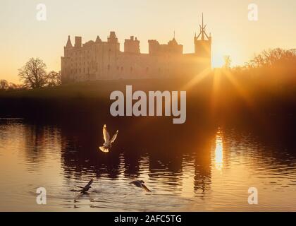 Möwen auf dem See vor der Kulisse der mittelalterlichen Burg, die von der aufgehenden Sonne beleuchtet. Linlithgow Palace, Schottland Stockfoto